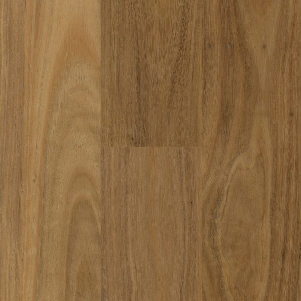 Rigid Plank Blackbutt