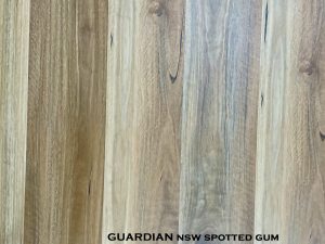 Guardian NSW Spotted Gum