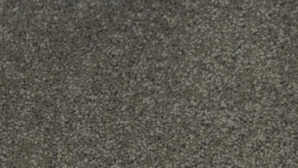 Revive Chelsea Grey @ Golden Carpets by Redbook Green Triexta. Sutherland Shire. Kirrawee
