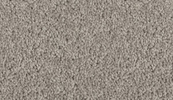 Queens Twist Dove Grey Wool @ Golden Carpets by Hycraft. Sutherland Shire. Kirrawee